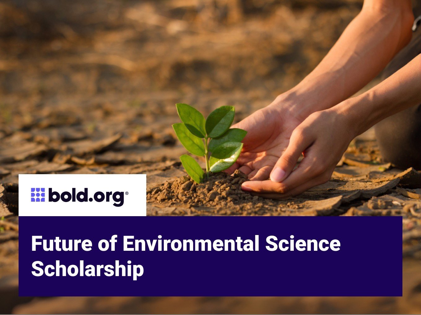 Scholarships for Environmental Science and Climate Change